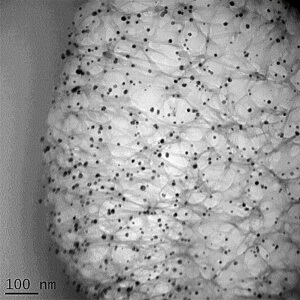 Cotton fiber with silver nanoparticles. (Photo courtesy of Sunghyun Nam, USDA/ARS)