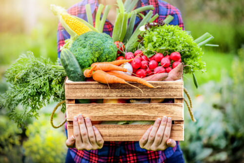 Person holding a wooden crate full of vegetables.