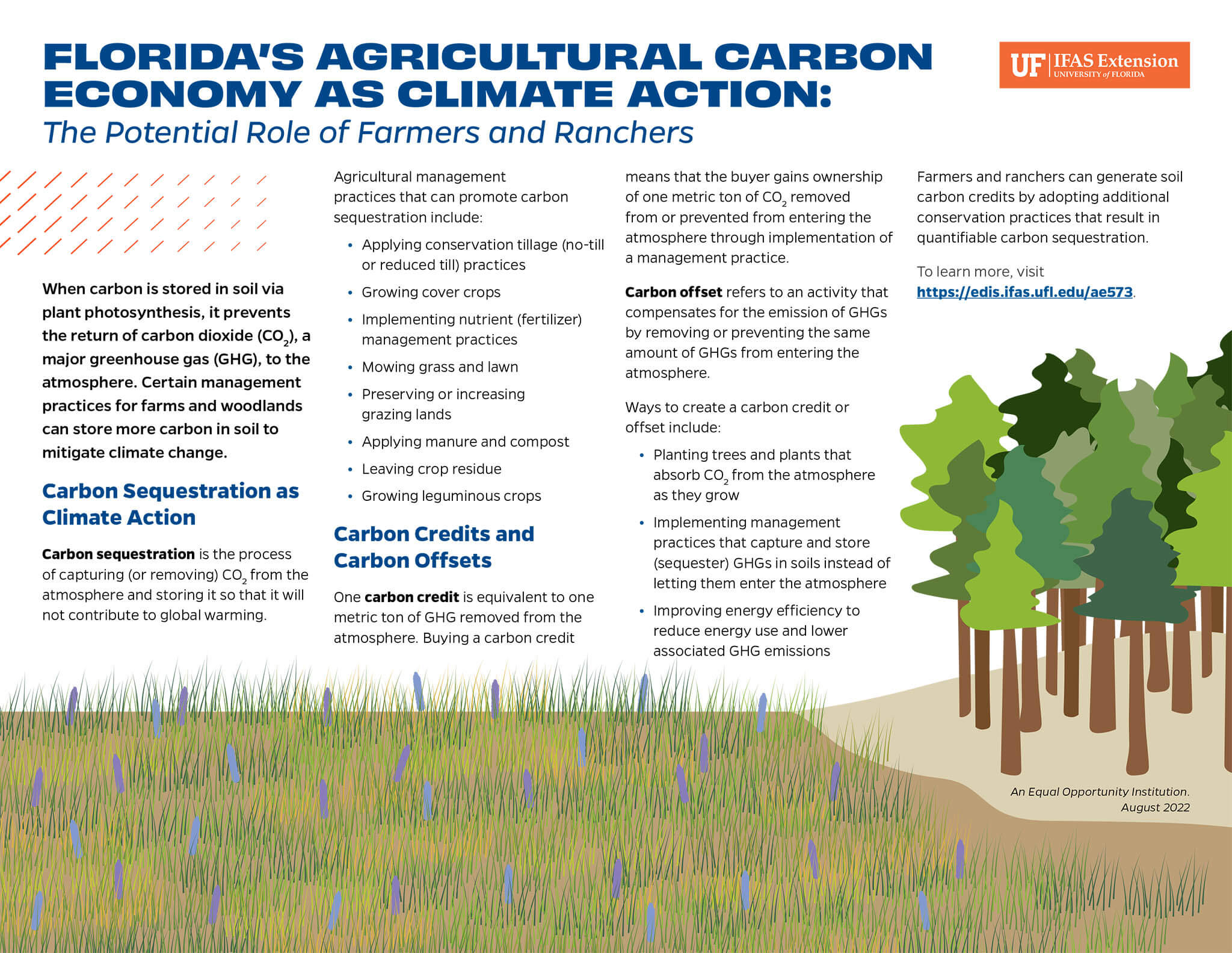 The Role Of Farmers And Ranchers In Carbon Economy Florida Farm Bureau
