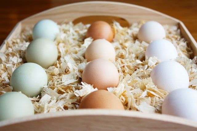Eggs in a basket with hay