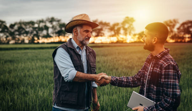 Two people shake hands in a field.