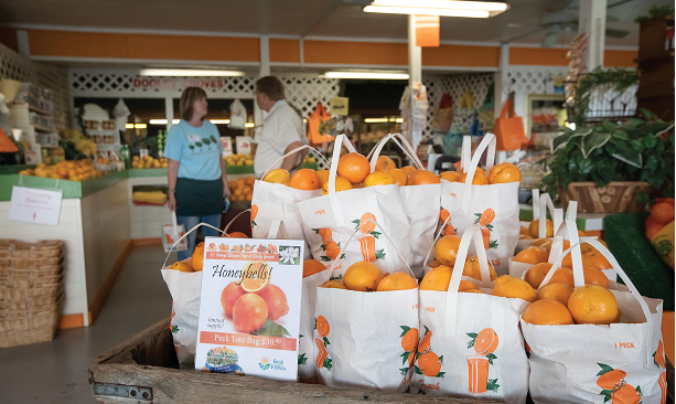 Paper bags full of fruit in a farm stand