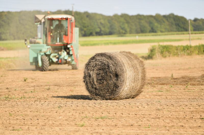 Hernando/Citrus Co, Haylage
