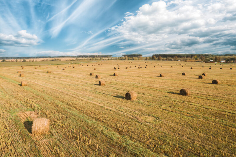 Levy Co Haylage