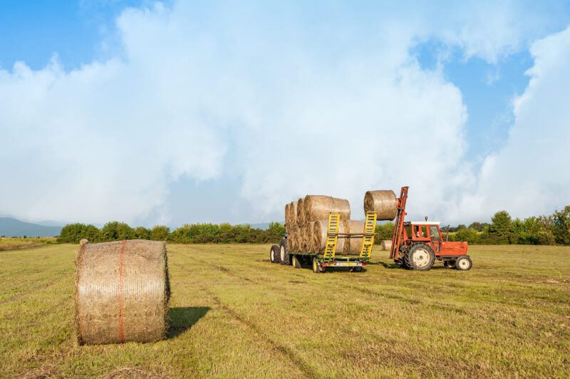 Pasco Co Haylage