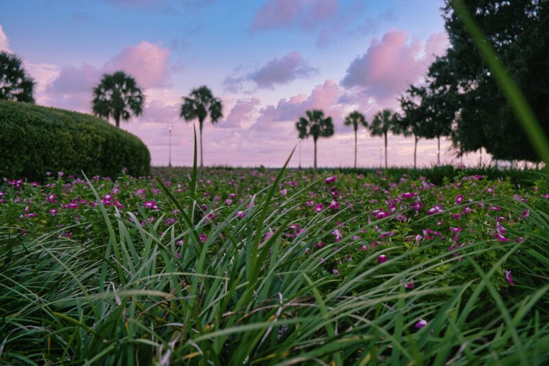 Leon Co Floriculture