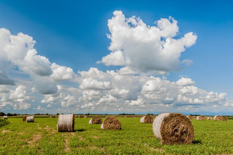 Osceola Co Haylage