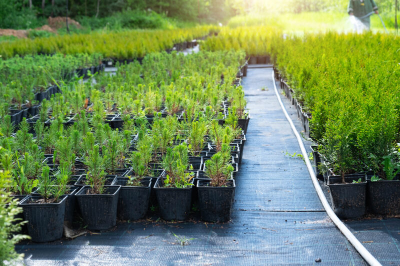Brevard Co, crops, greenhouse