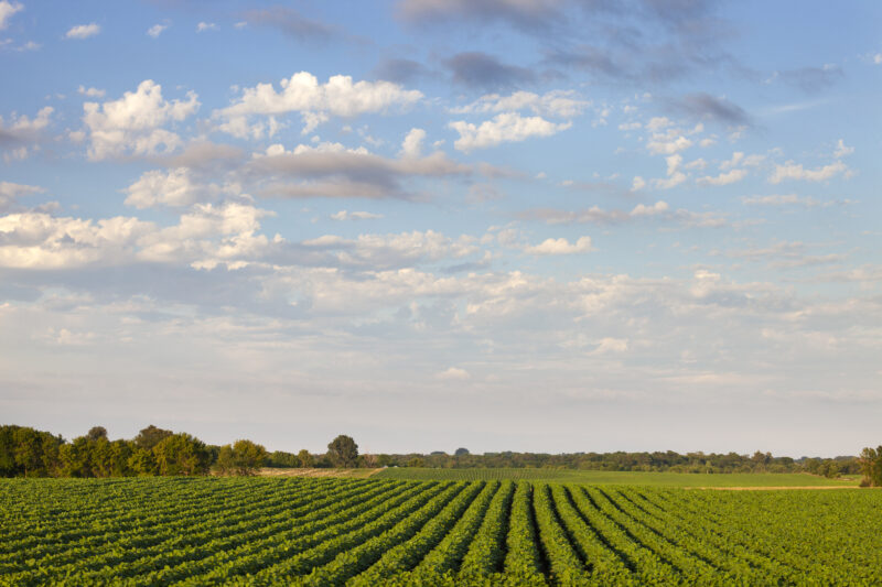 Jefferson Co, crops