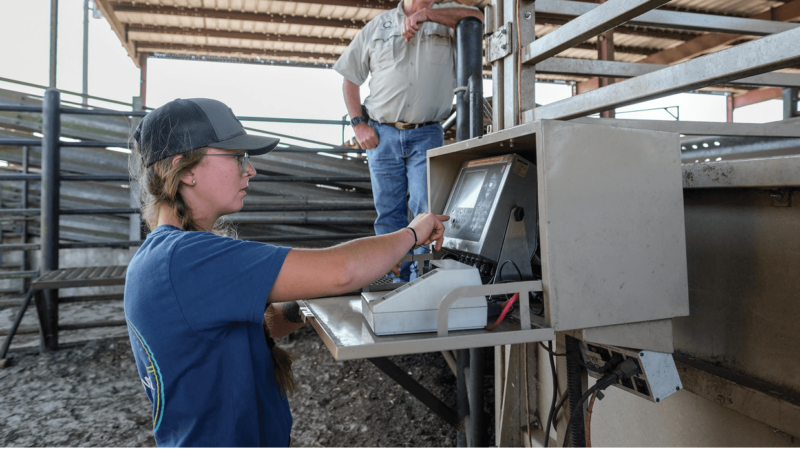 A young person stands at a computer station in a gated field. They are wearing a baseball cap.