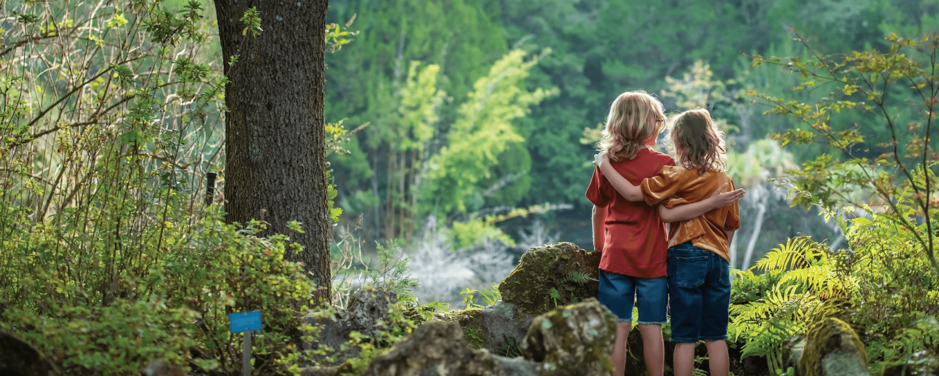 two children face away from the camera in the woods. They have their arms around each others' shoulders.