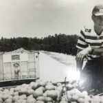 citrus, commodity, FFBF, farmers