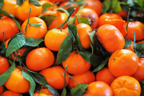 Florida Citrus