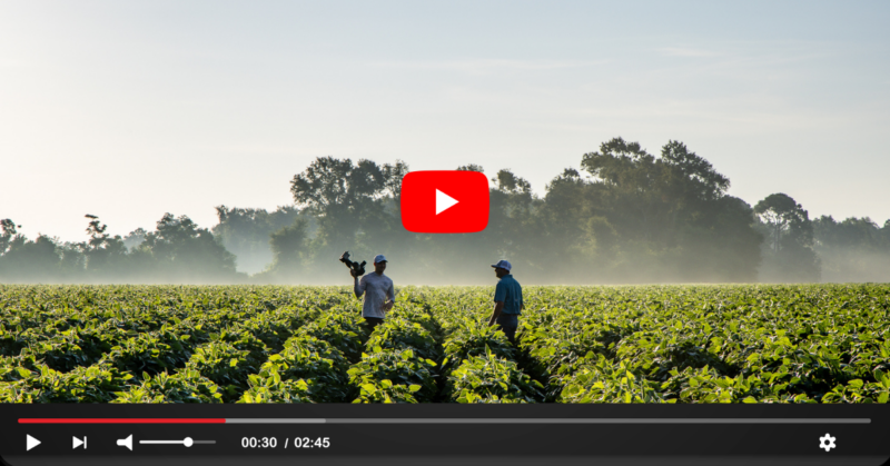 Videographer and Florida farmer in field