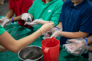 Hands wearing disposable gloves measure and transfer soil into containers during a hands‑on educational activity.