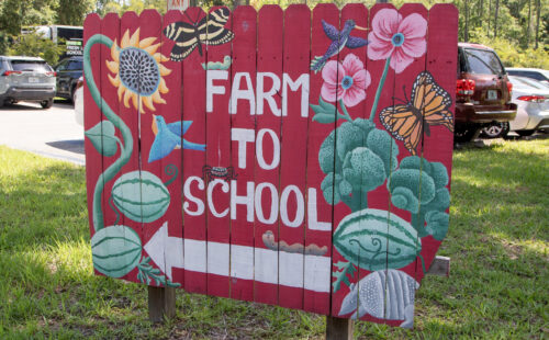 Painted wooden sign with images of watermelons, flowers, birds and butterflies that reads "Farm to School"