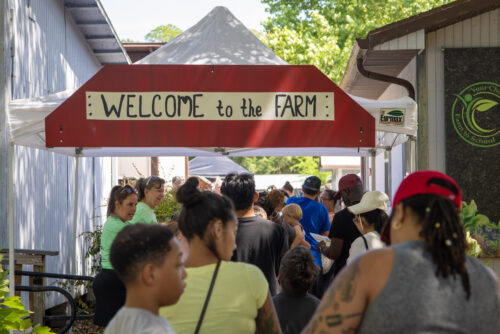 Families in line to pick up free, nutritious meals.
