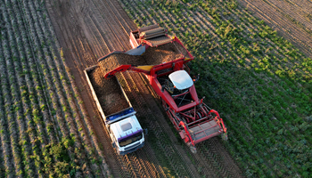 Aerial view of potato harvester in field.