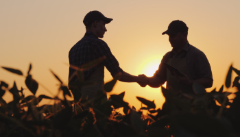Silhouette of two men shaking hands in a field at sunset,